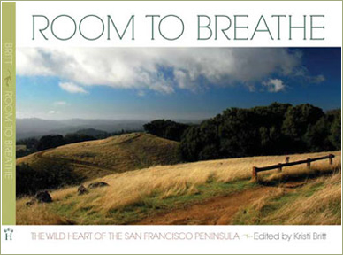 Room To Breathe Book