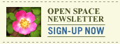Newsletter Sign-Up